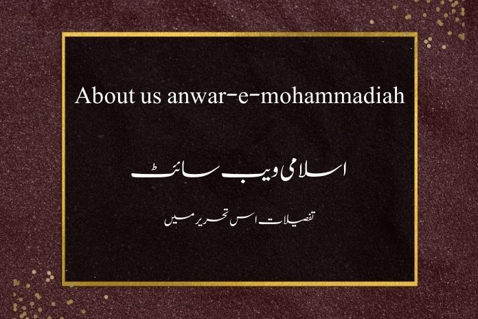 About us page
